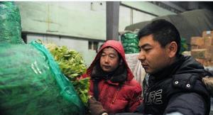 清晨6時許，司德華（右）和魏剛在烏魯木齊市北園春蔬菜批發市場挑選芹菜。