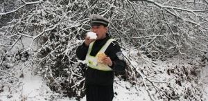 啃雪哥