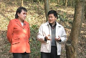 葉麗寧在廣西高峰林場考察