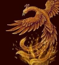 鳳凰