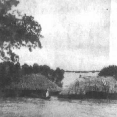 長江流域發(fā)生特大水災(zāi)