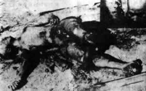 林彪叛國出逃 墜機身亡
