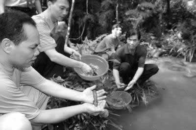 湖南人工繁殖娃娃魚成功