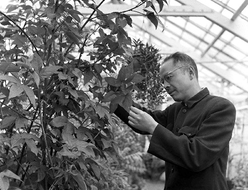 我國著名植物學家蔡希陶在昆明逝世(歷史上今天lssjt.cn)
