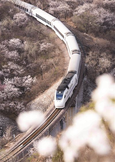 開往春天的列車美翻了！一路賞花