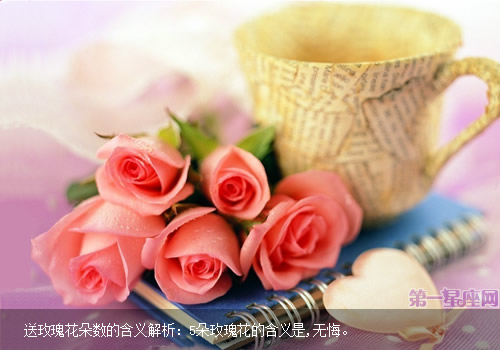 送玫瑰花朵數的含義解析