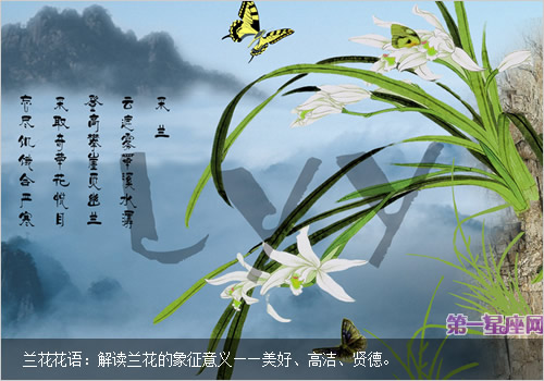蘭花花語(yǔ)：解讀蘭花的象征意義