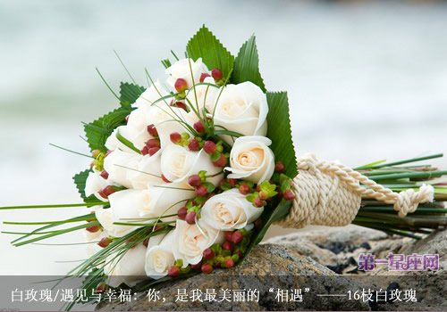 白玫瑰花語：送白玫瑰代表什么意思？