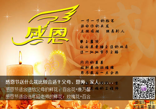 感恩節送什么花比較合適？
