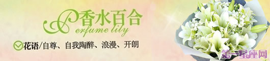 香水百合花語：送香水百合代表什么意思？