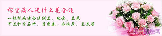 探望病人送什么花合適？