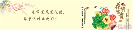 春節(jié)送花送祝福,春節(jié)送什么花好？