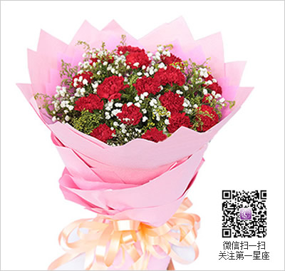 紅色康乃馨花語，送紅色康乃馨代表什么？