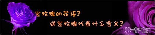 紫玫瑰的花語？送紫玫瑰代表什么含義？