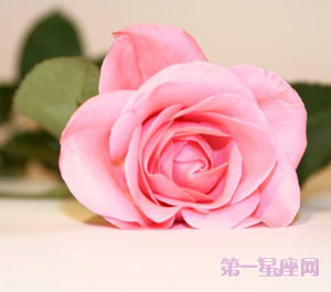 送玫瑰花祝福語怎么寫？