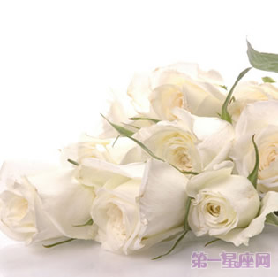 白玫瑰花語：送19朵白玫瑰代表什么意思？