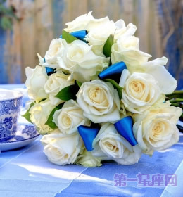 送什么花代表友誼？