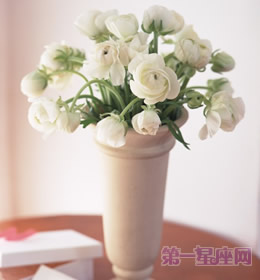 送什么花代表友誼？