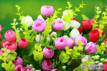 花語大全：各種花語大全帶圖片