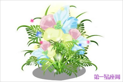 依米花的花語是什么？