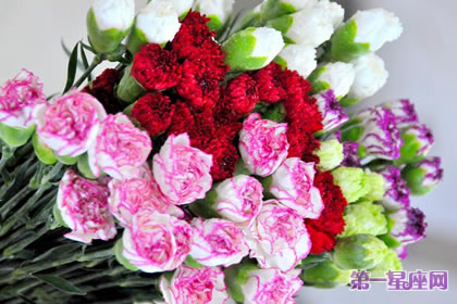 代表感恩的花語(yǔ)？什么花代表感恩！