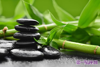 植物花語：竹子的花語是什么？