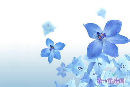 藍色紫羅蘭花語：警戒，我將永遠忠誠