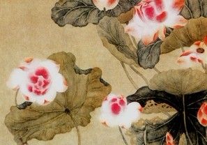 蓮花