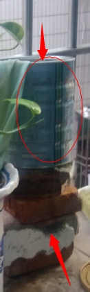 自動澆花裝置