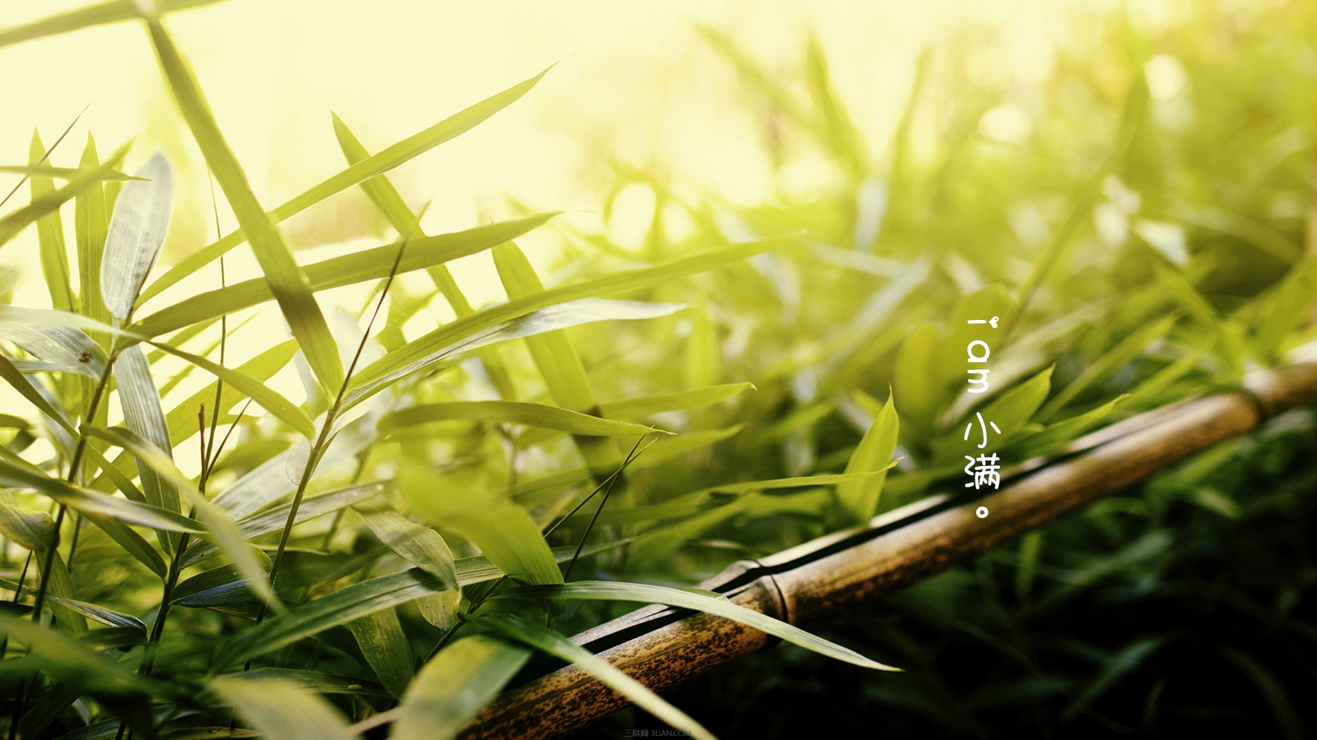 小滿時節的相關農諺 三聯