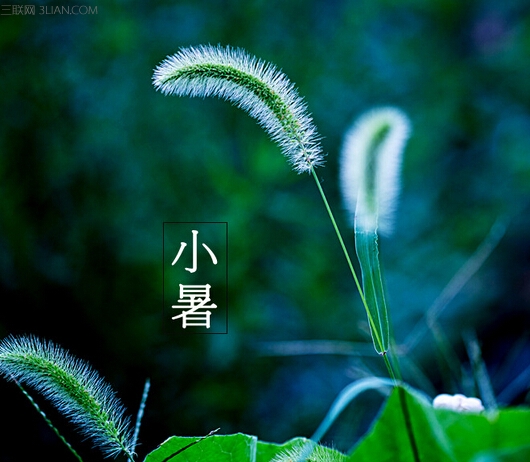 小暑養(yǎng)生諺語有哪些    三聯(lián)