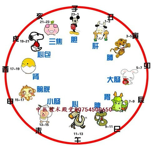 十二地支