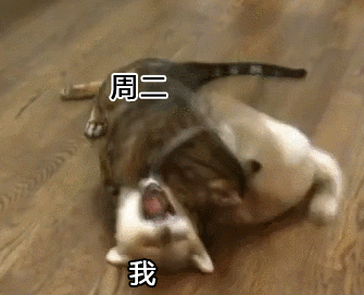 周二VS我