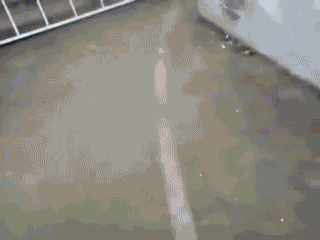 垂死病中驚坐起
