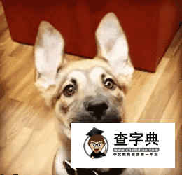 大頭照哈哈