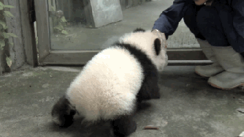 小姐姐的吻