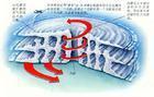 臺(tái)風(fēng)結(jié)構(gòu) 臺(tái)風(fēng)結(jié)構(gòu)