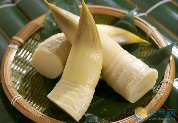 春分養生