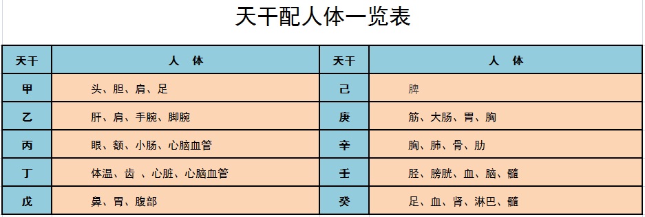 什么是天干地支 天干地支算命基礎知識5