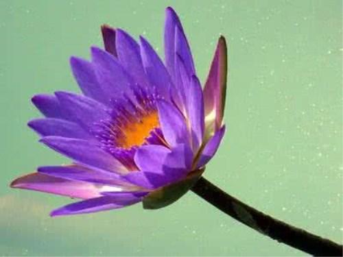 關(guān)于姓名學的那些知識1