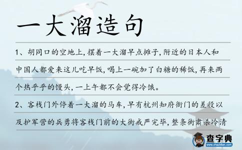 一大溜造句