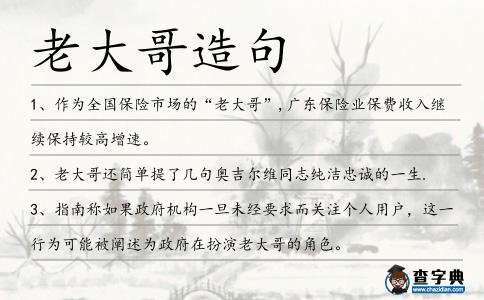 老大哥造句