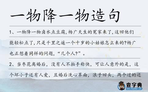 一物降一物造句