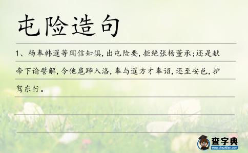 屯險造句