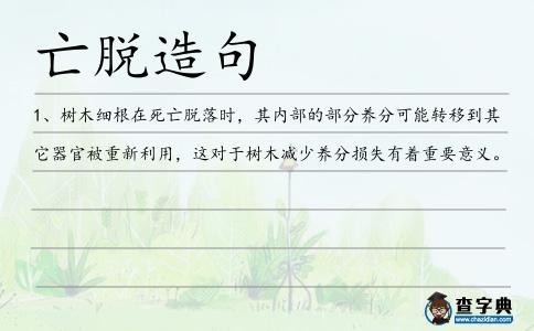 亡脫造句