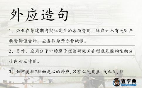 外應造句