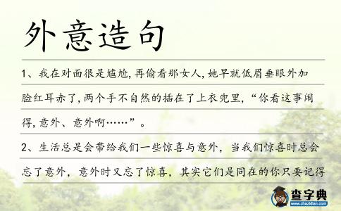 外意造句