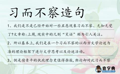 習而不察造句