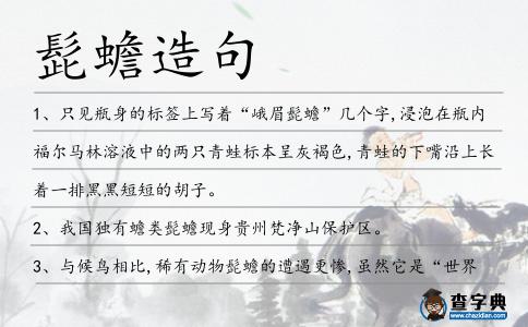 髭蟾造句
