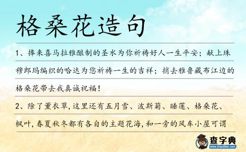 格桑花造句